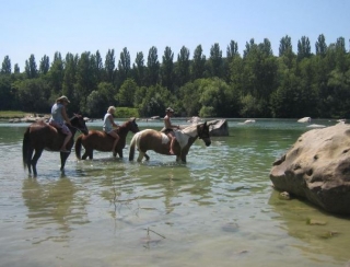  Ride Horse en los paisajes más hermosos 